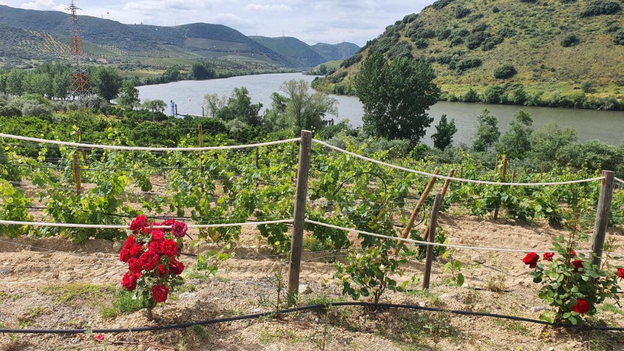 Olhares Do Douro Séjour à la campagne Torre De Moncorvo