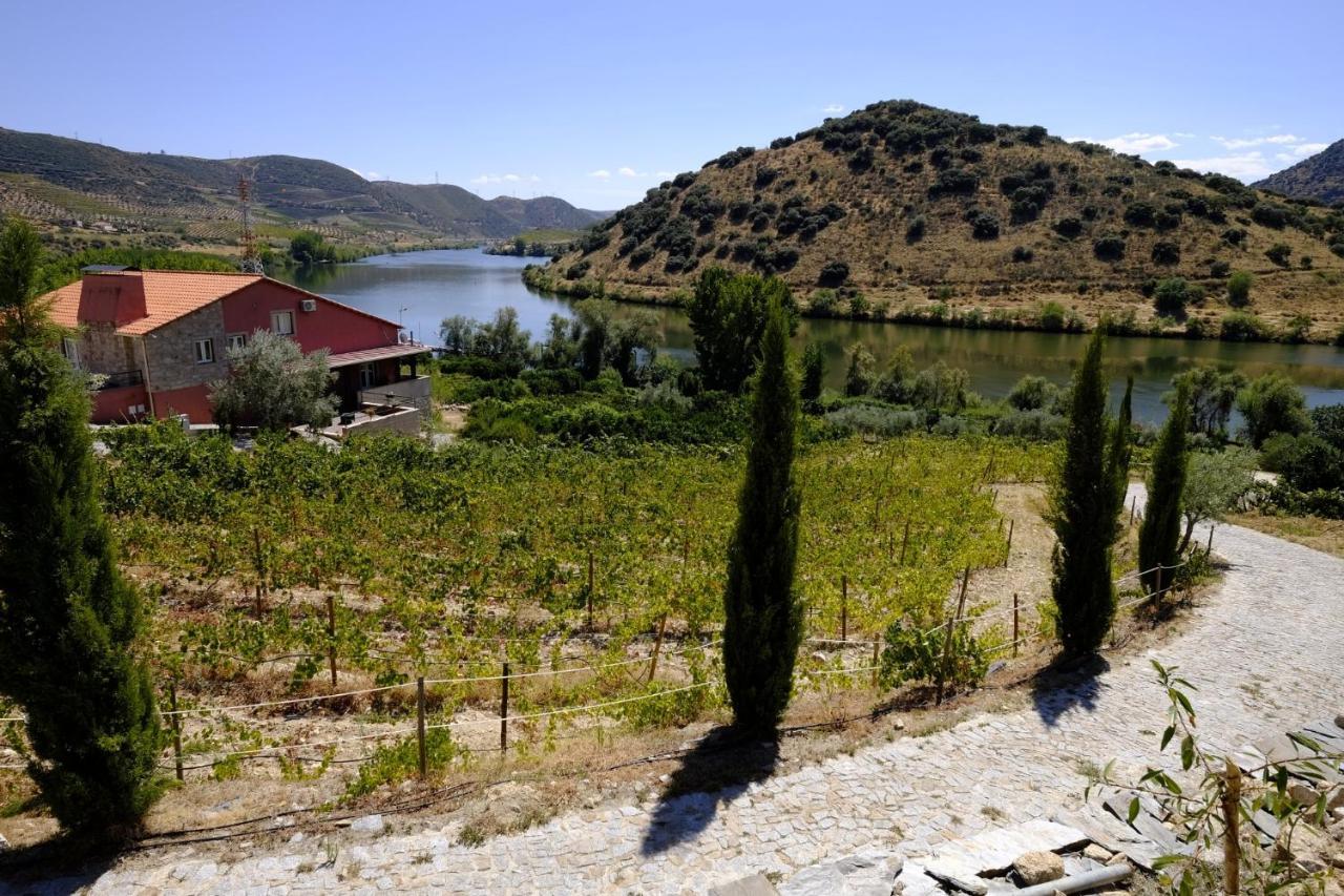 Olhares Do Douro * Torre De Moncorvo