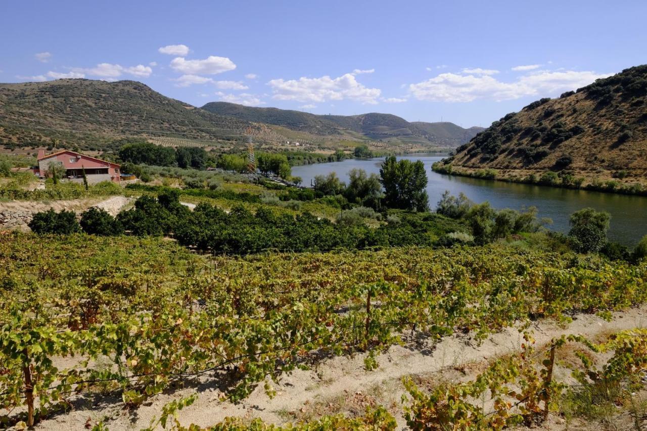 Séjour à la campagne Olhares Do Douro *