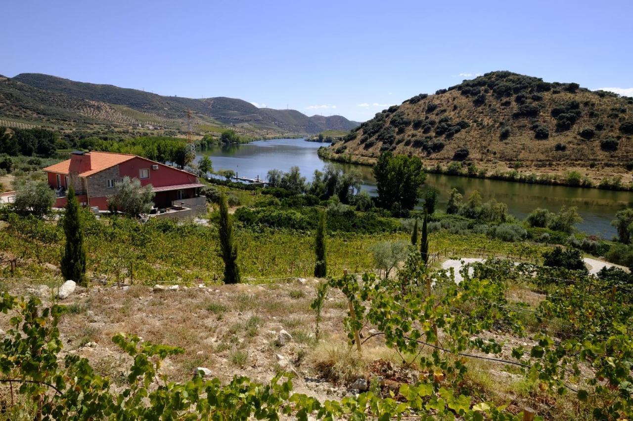 Olhares Do Douro * Torre De Moncorvo