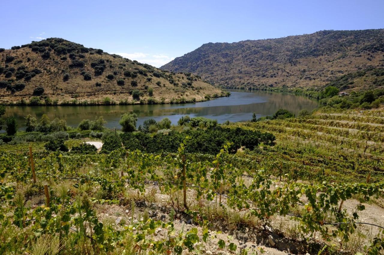 Olhares Do Douro